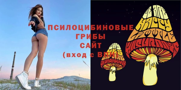 таблы Заводоуковск