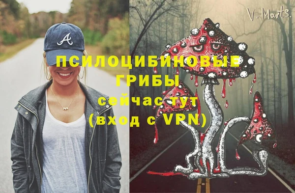 бутират Баксан